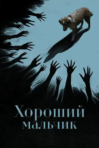 Хороший мальчик