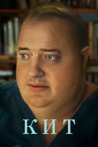 Кит