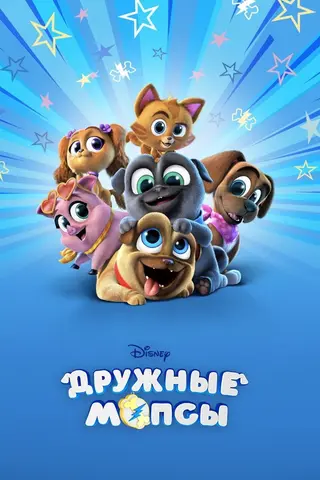 Дружные мопсы