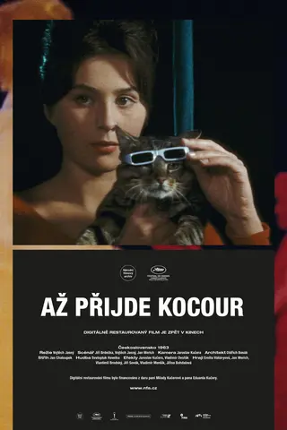 Вот придёт кот