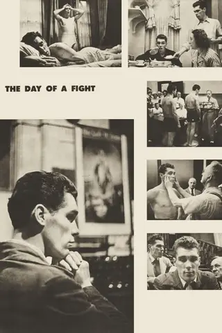 Day of the Fight