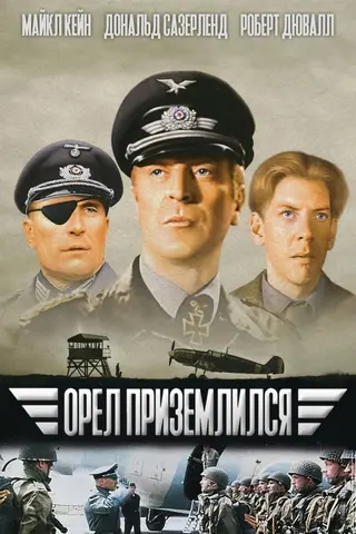 Орёл приземлился